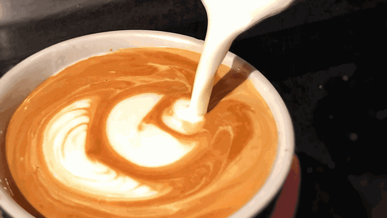 Bad Owl Coffee — Coffee Shops & Cafes photo 3 of 5