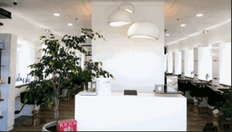 Capelli Hair Salon - Sahara