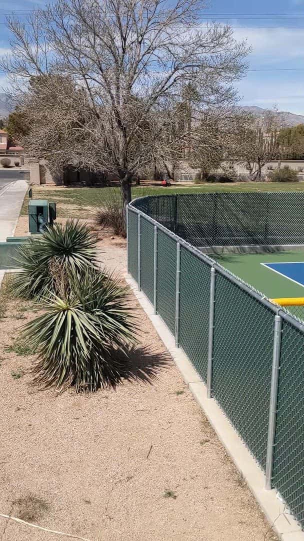 Aloha Shores Pickleball Courts — Family Fun & Recreation photo 2 of 5