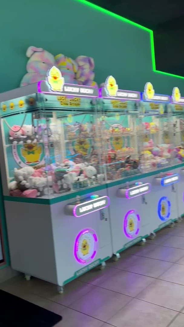 Lucky Ducky Claw Arcade — Family Fun & Recreation photo 2 of 5