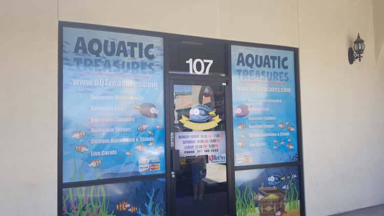 Aquatic Treasures