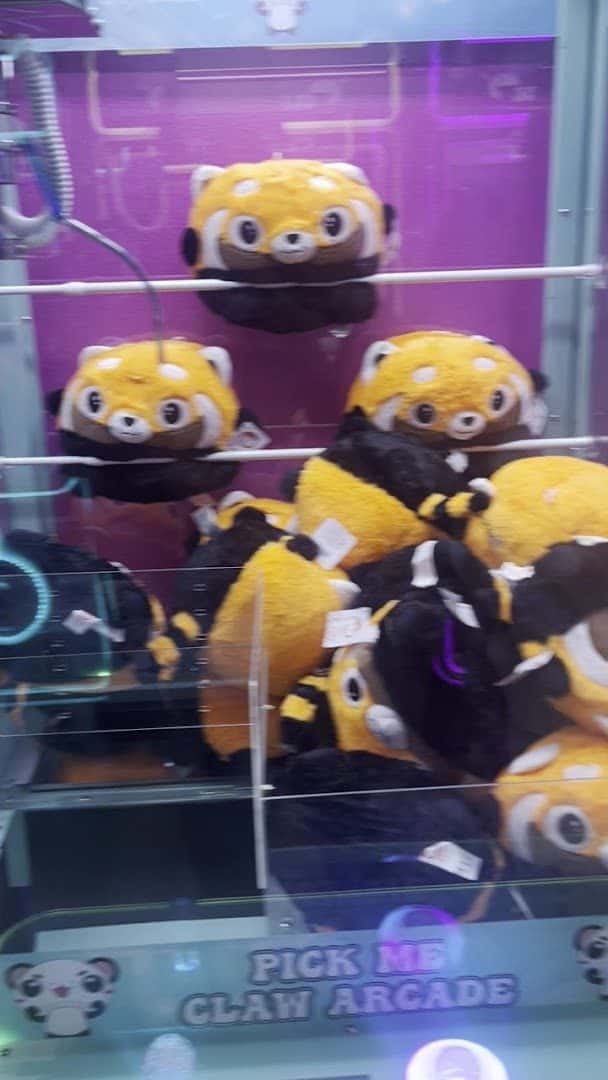 Pick Me Claw Arcade — Family Fun & Recreation photo 2 of 5