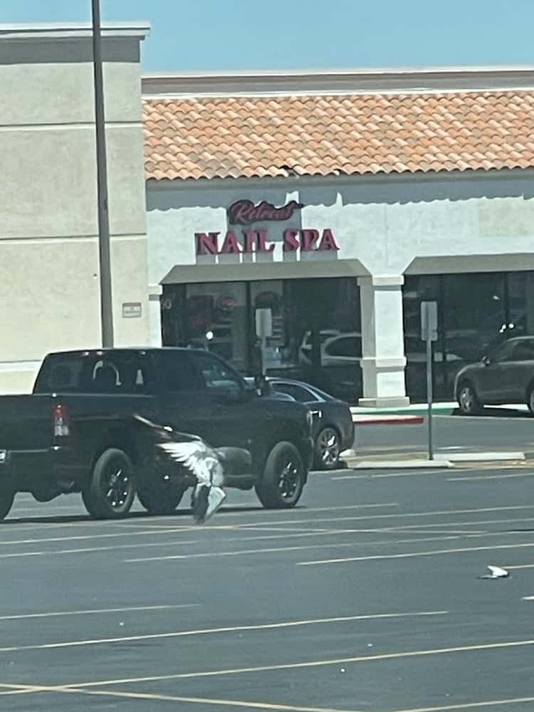 Retreat Nail Spa