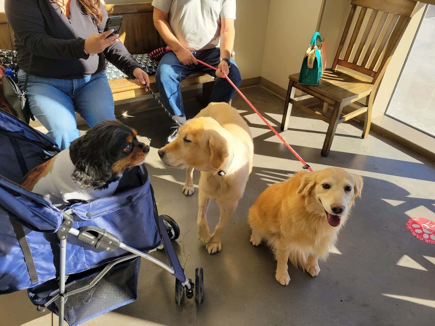 Horizon Ridge Animal Hospital — Retail & Boutiques photo 3 of 5