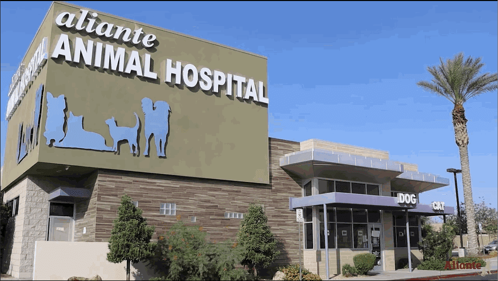 Aliante Animal Hospital — Doctors & Medical photo 1 of 5