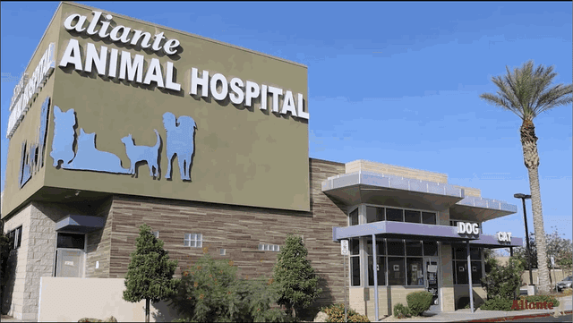 Aliante Animal Hospital