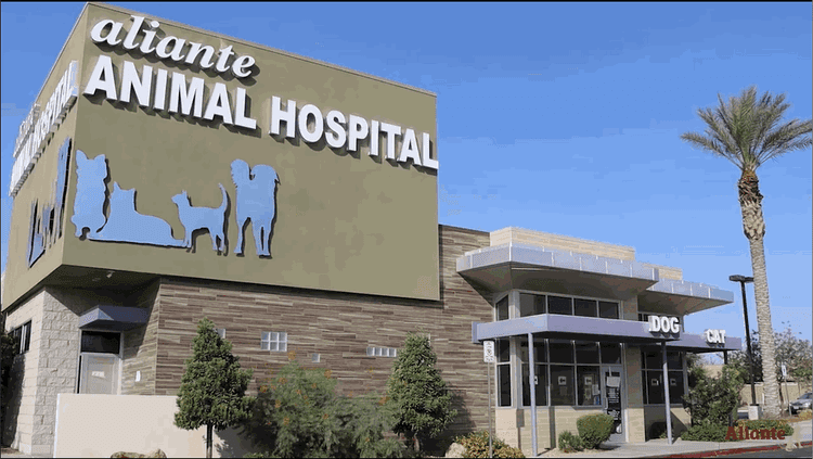 Aliante Animal Hospital