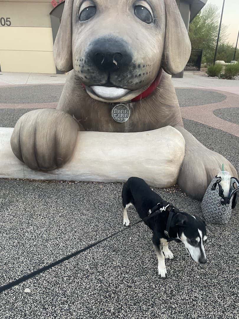 Bark Park at Heritage Park — Family Fun & Recreation photo 3 of 5