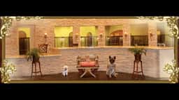 LV Dog Hotel