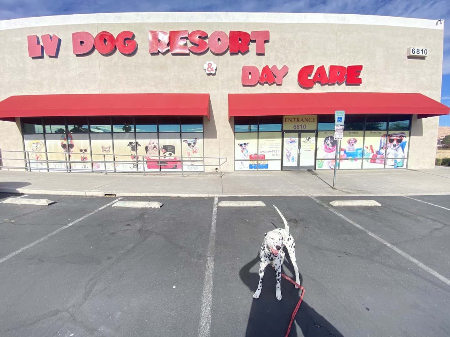 LV Dog Hotel — Childcare & Schools photo 2 of 5