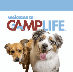 Camp Bow Wow Henderson