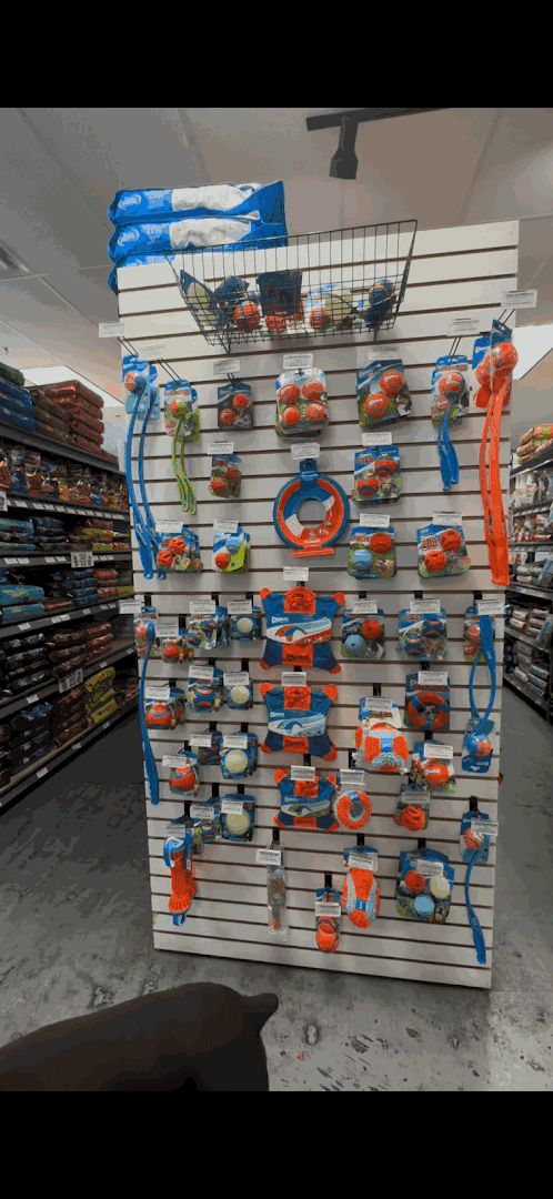 Dog Supplies Outlet — Retail & Boutiques photo 2 of 5