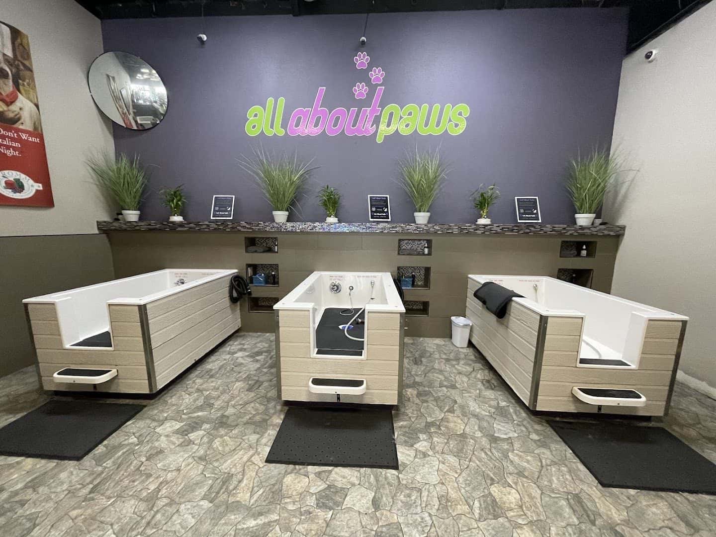 All About Paws — Retail & Boutiques photo 3 of 5