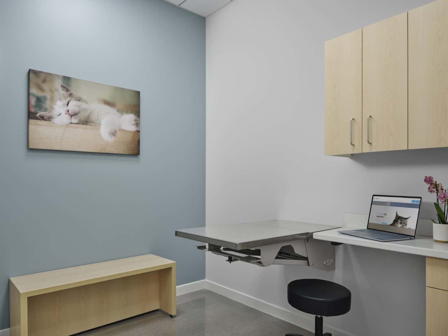 Majestic Park Animal Hospital — Doctors & Medical photo 2 of 5