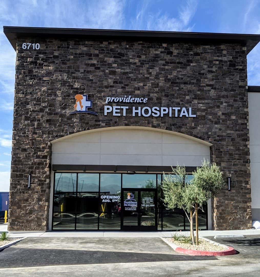 Providence Pet Hospital — Doctors & Medical photo 2 of 5