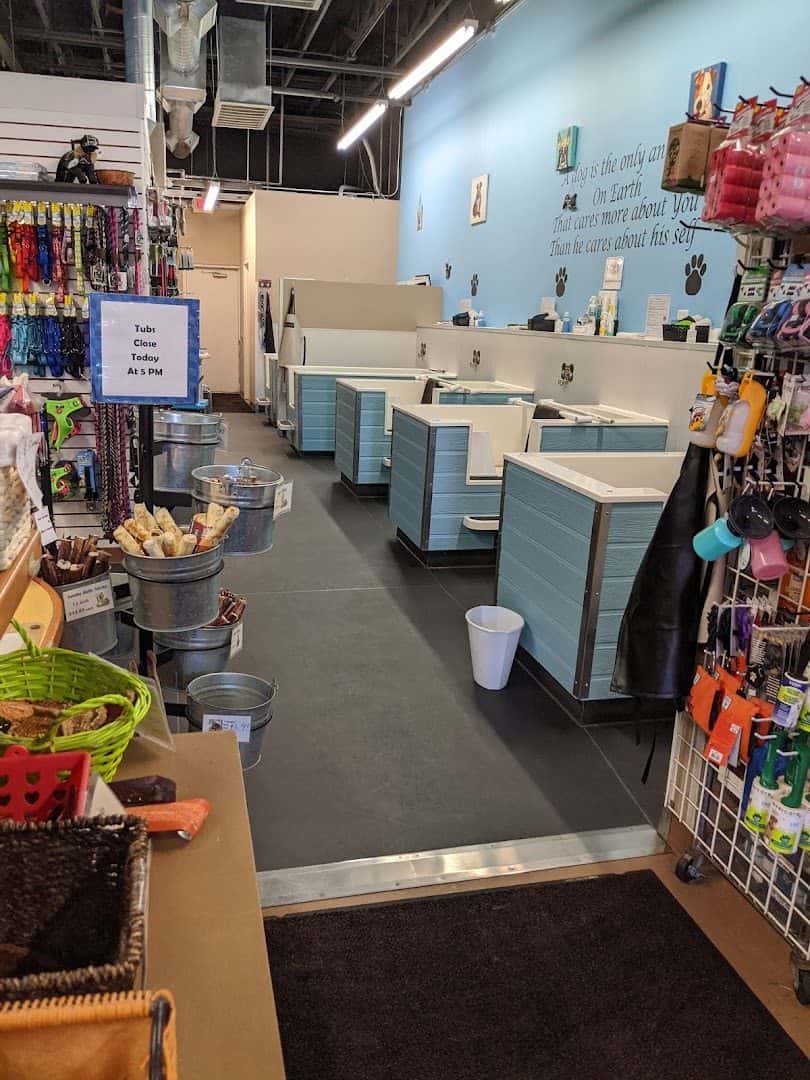The Soggy Dog — Retail & Boutiques photo 1 of 5