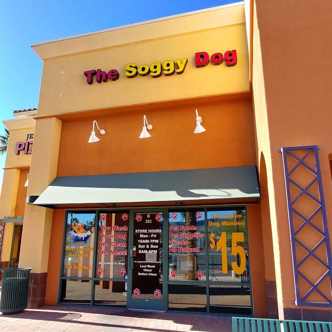 The Soggy Dog — Retail & Boutiques photo 3 of 5