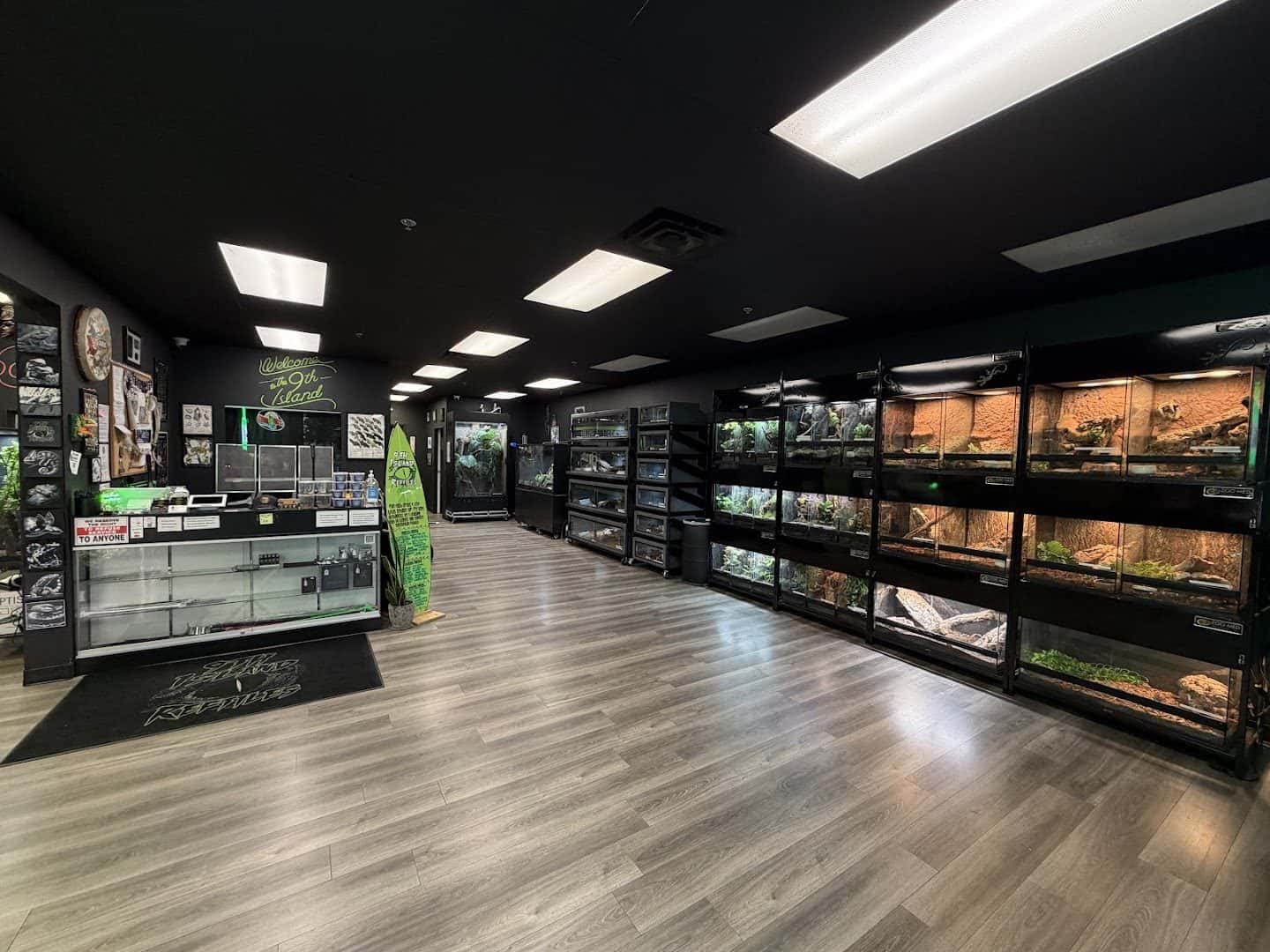9th Island Reptiles — Retail & Boutiques photo 2 of 5