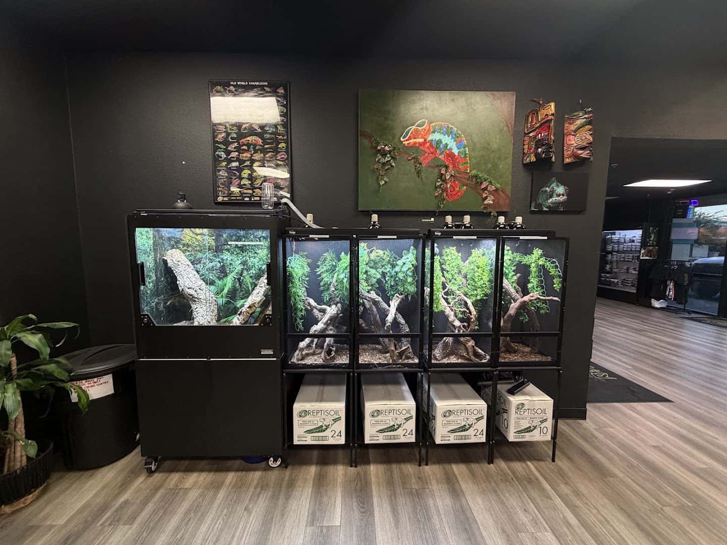 9th Island Reptiles — Retail & Boutiques photo 3 of 5