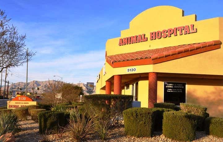 Camino al Norte Animal Hospital — Doctors & Medical photo 1 of 5