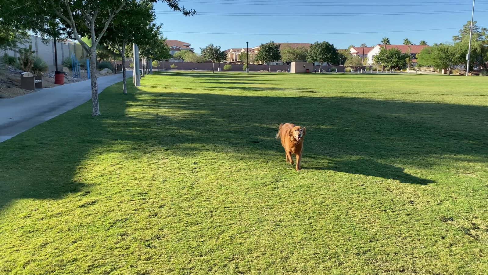 Horizon Crest Park — Family Fun & Recreation photo 2 of 5