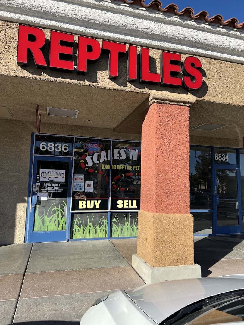Scales 'N Tails Las Vegas — Retail & Boutiques photo 1 of 5