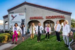 Lone Mountain Animal Hospital