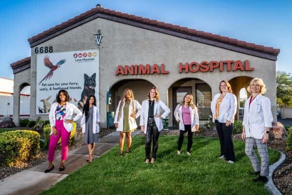 Lone Mountain Animal Hospital — Doctors & Medical photo 1 of 5
