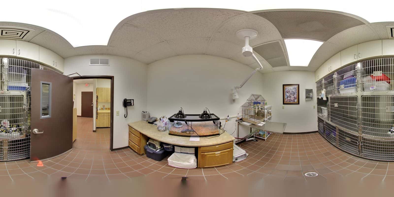 Lone Mountain Animal Hospital — Doctors & Medical photo 2 of 5