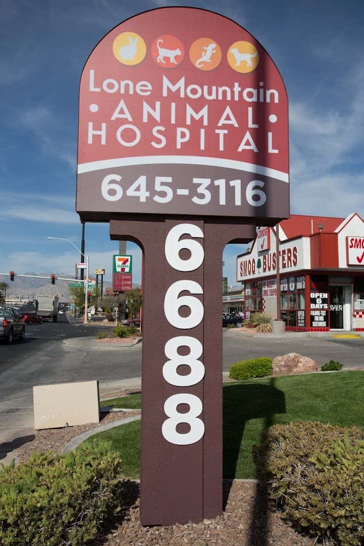 Lone Mountain Animal Hospital — Doctors & Medical photo 3 of 5