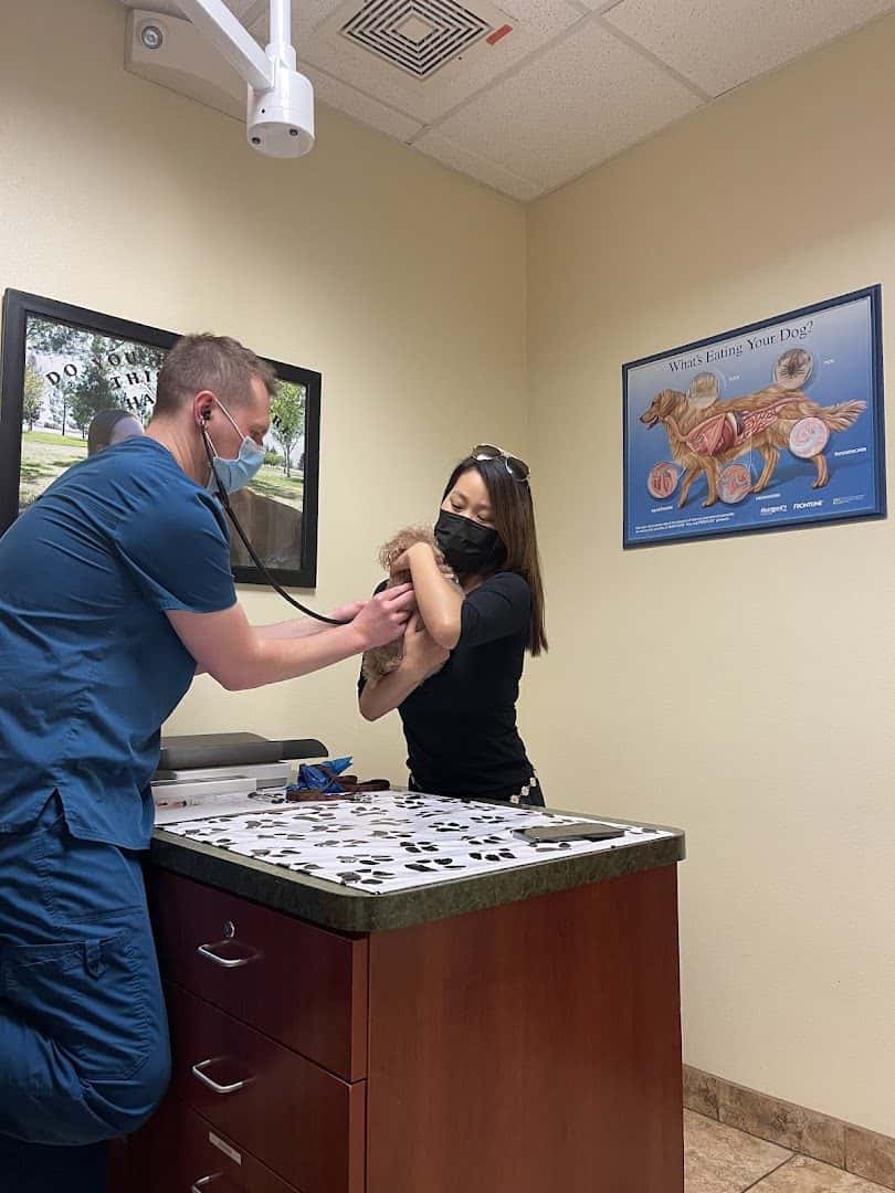 Cheyenne West Animal Hospital — Doctors & Medical photo 3 of 5