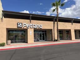 Petland Las Vegas