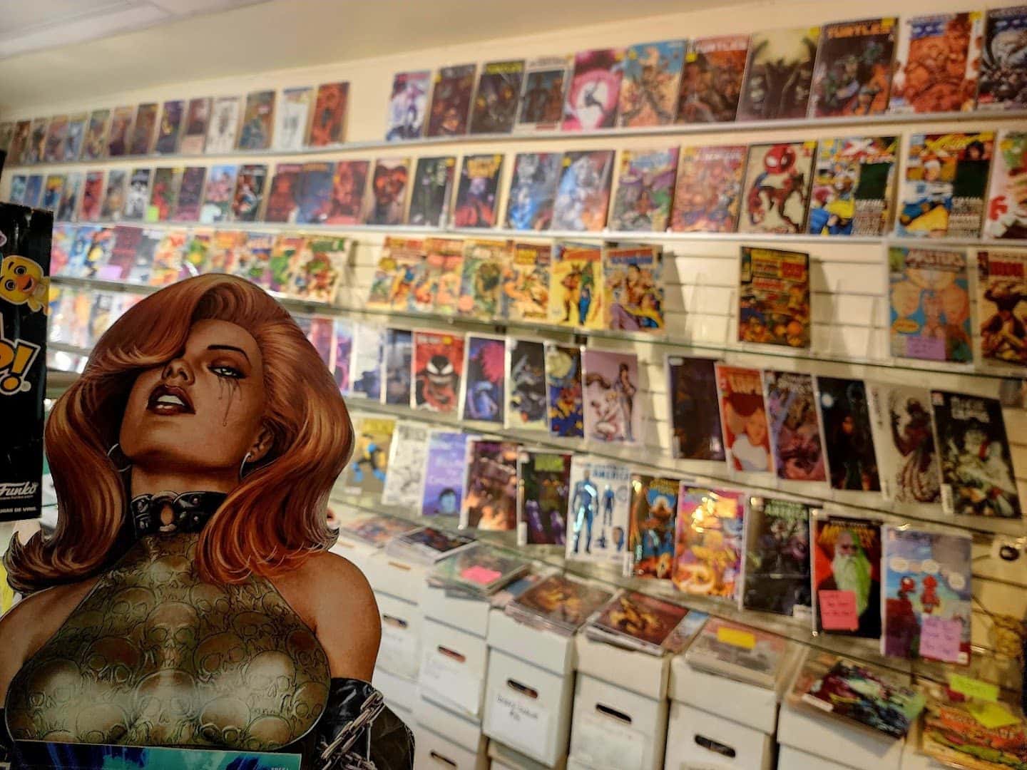 Velvet Underground Comics — Retail & Boutiques photo 2 of 5