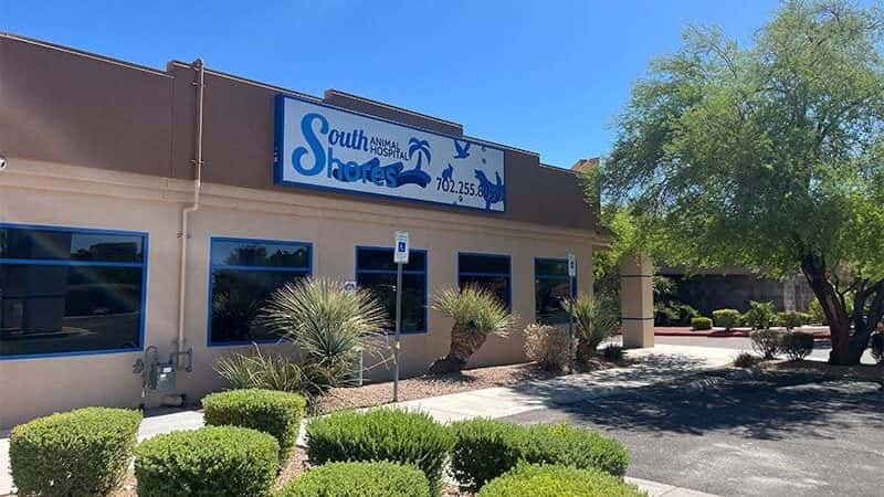 South Shores Animal Hospital — Doctors & Medical photo 1 of 5