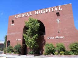 Rainbow Animal Hospital