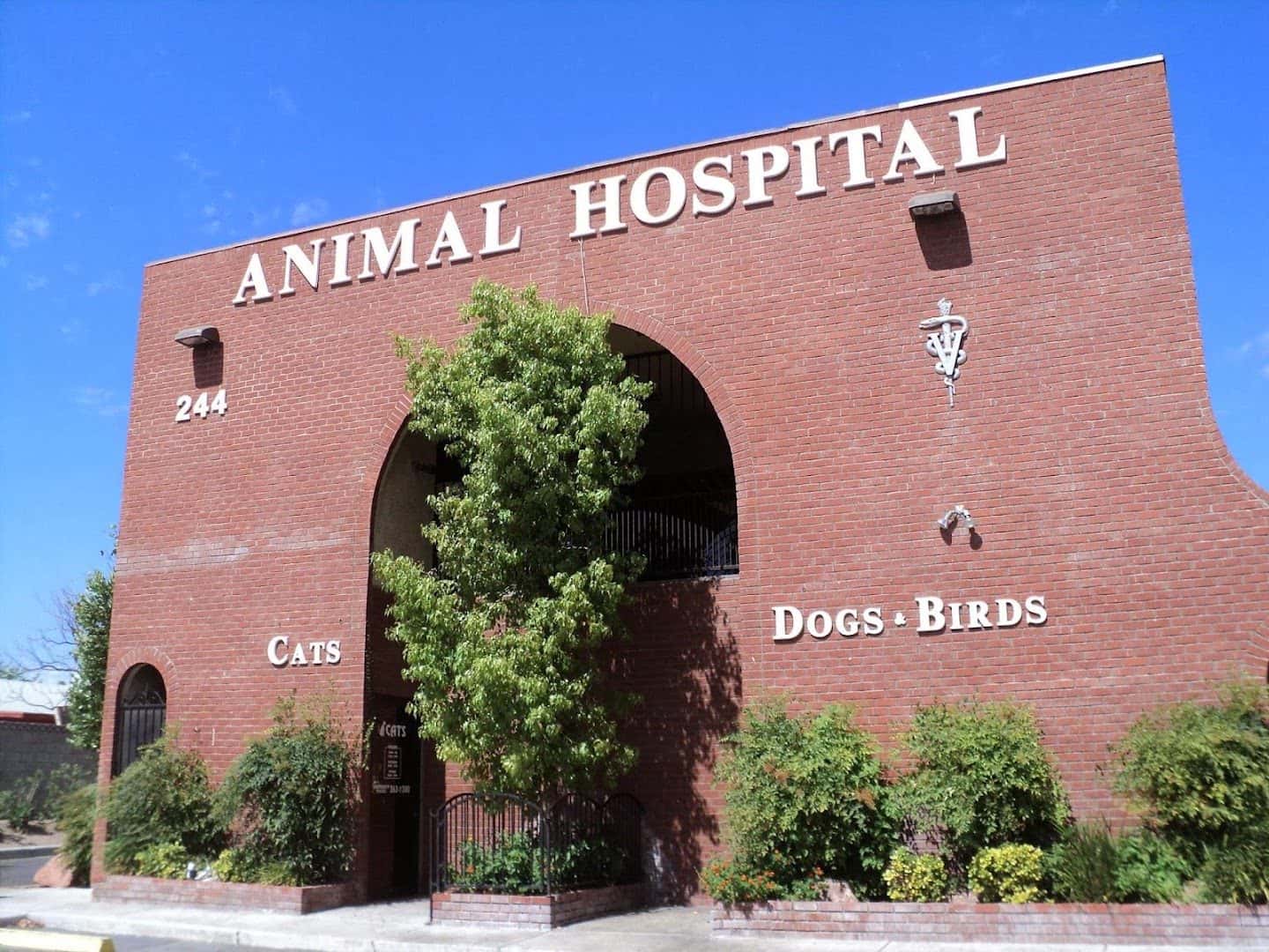 Rainbow Animal Hospital — Doctors & Medical photo 1 of 5