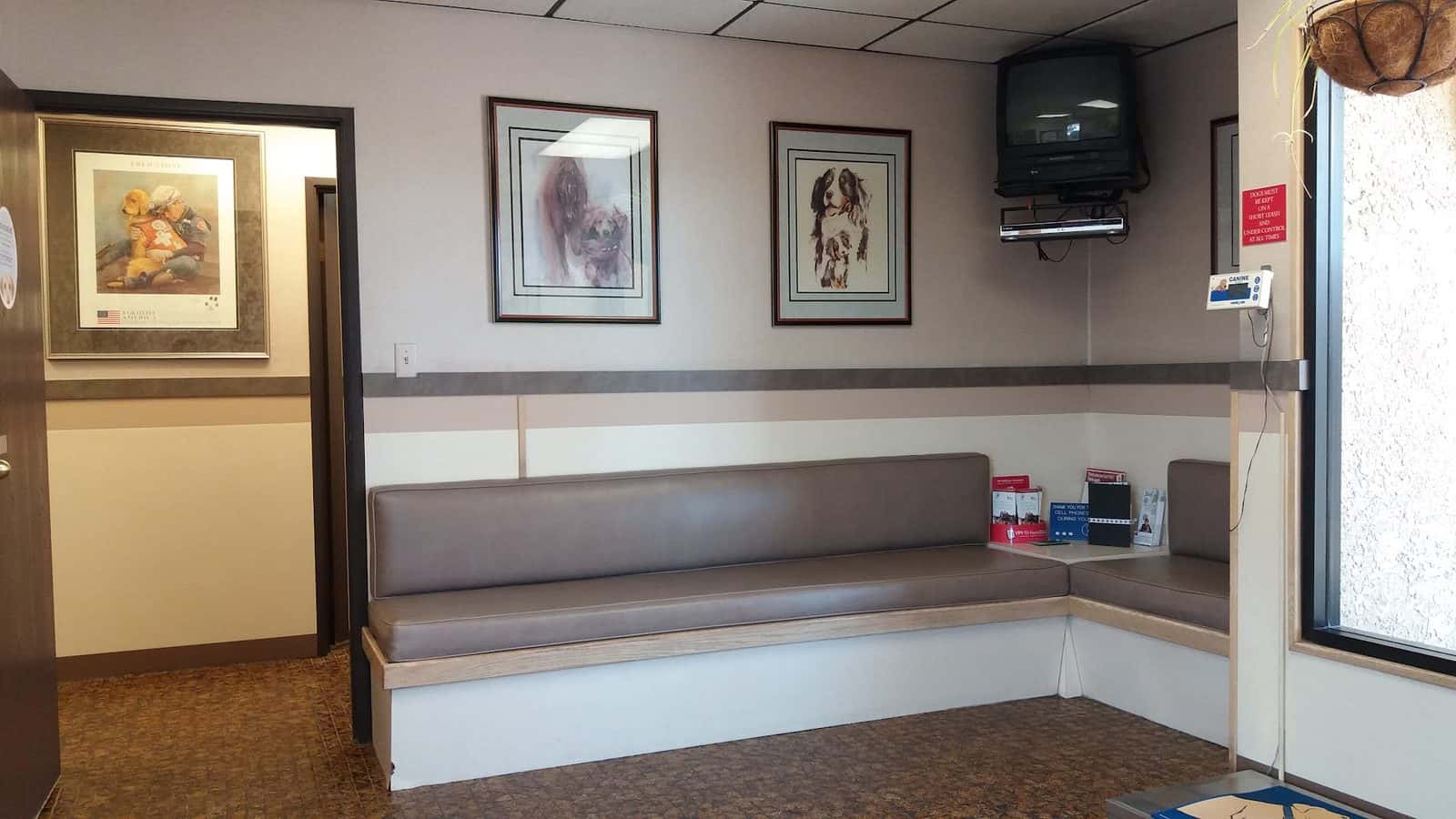 Rainbow Animal Hospital — Doctors & Medical photo 3 of 5