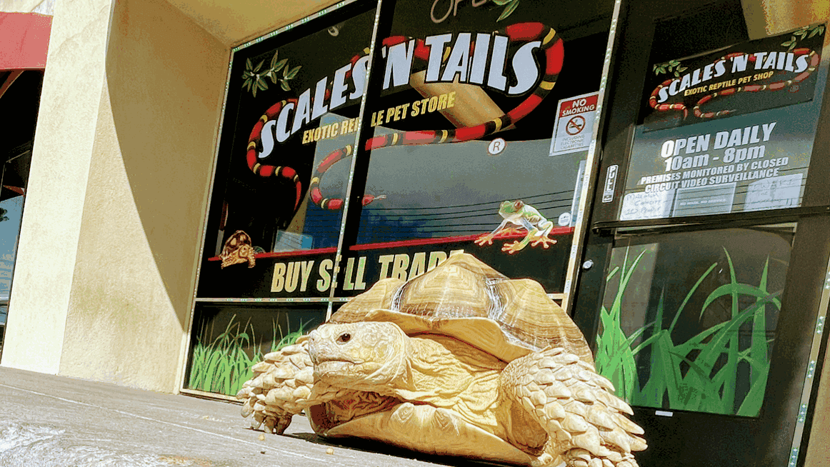 Scales 'N Tails North Las Vegas — Retail & Boutiques photo 3 of 5