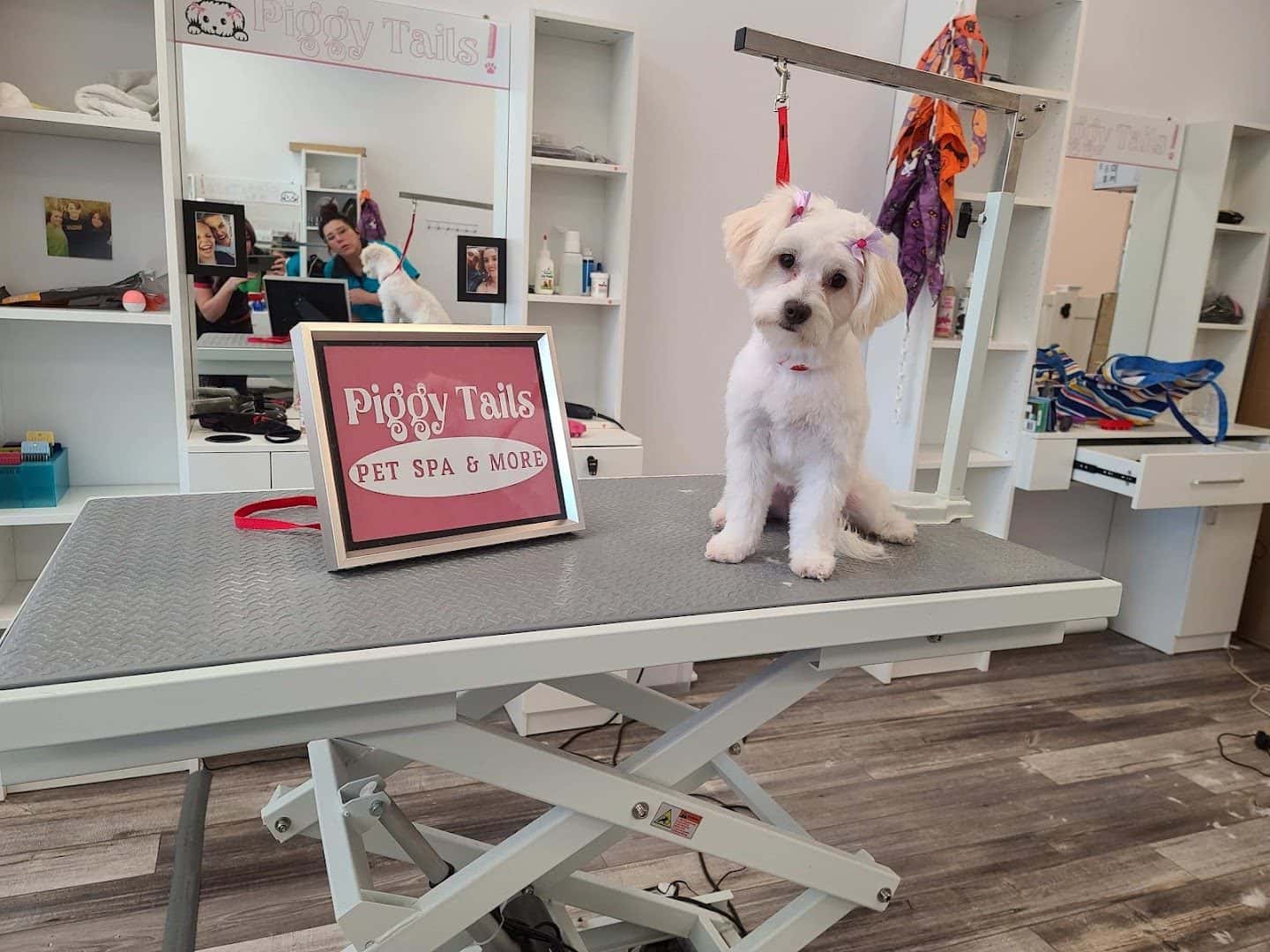 Piggy Tails Pet Spa & More — Nail Salons & Spas photo 3 of 5