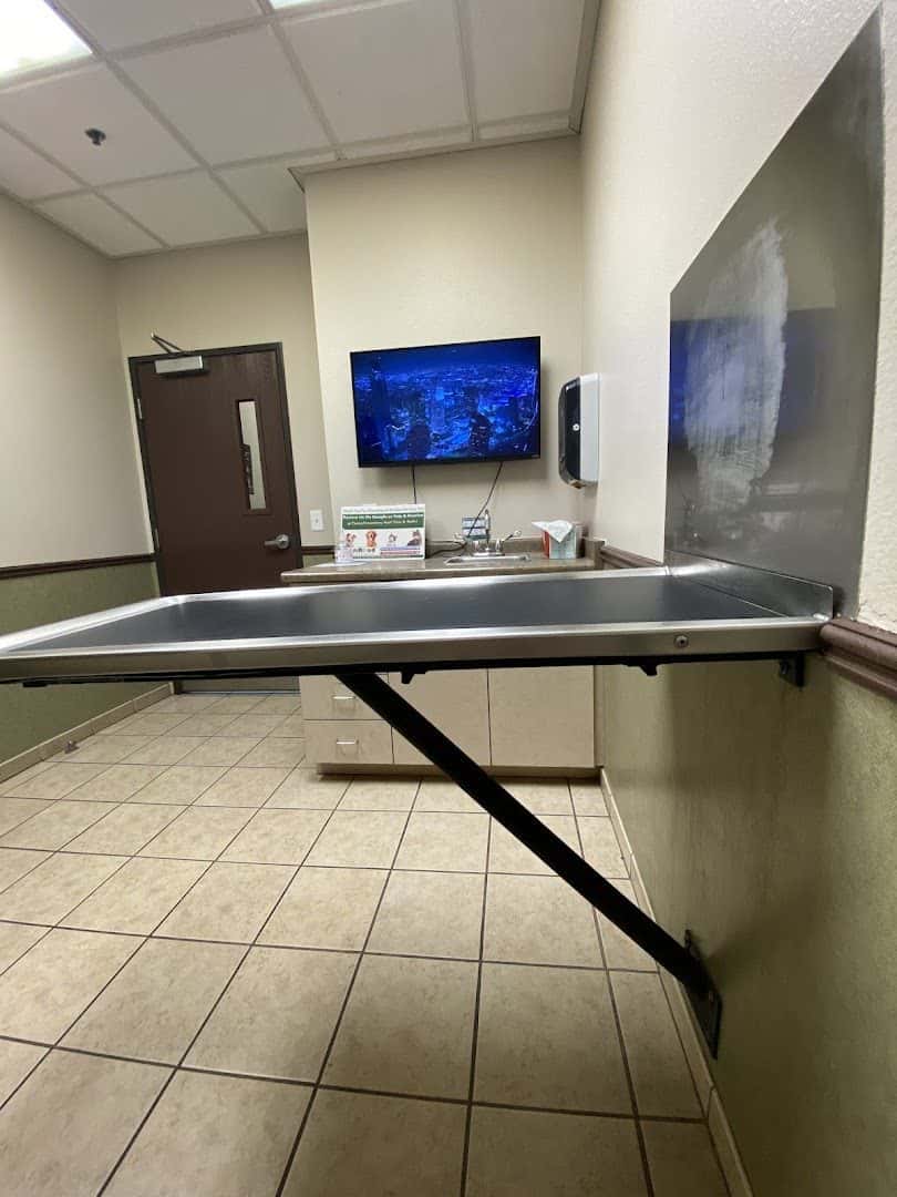 Ann Road Animal Hospital — Doctors & Medical photo 1 of 5
