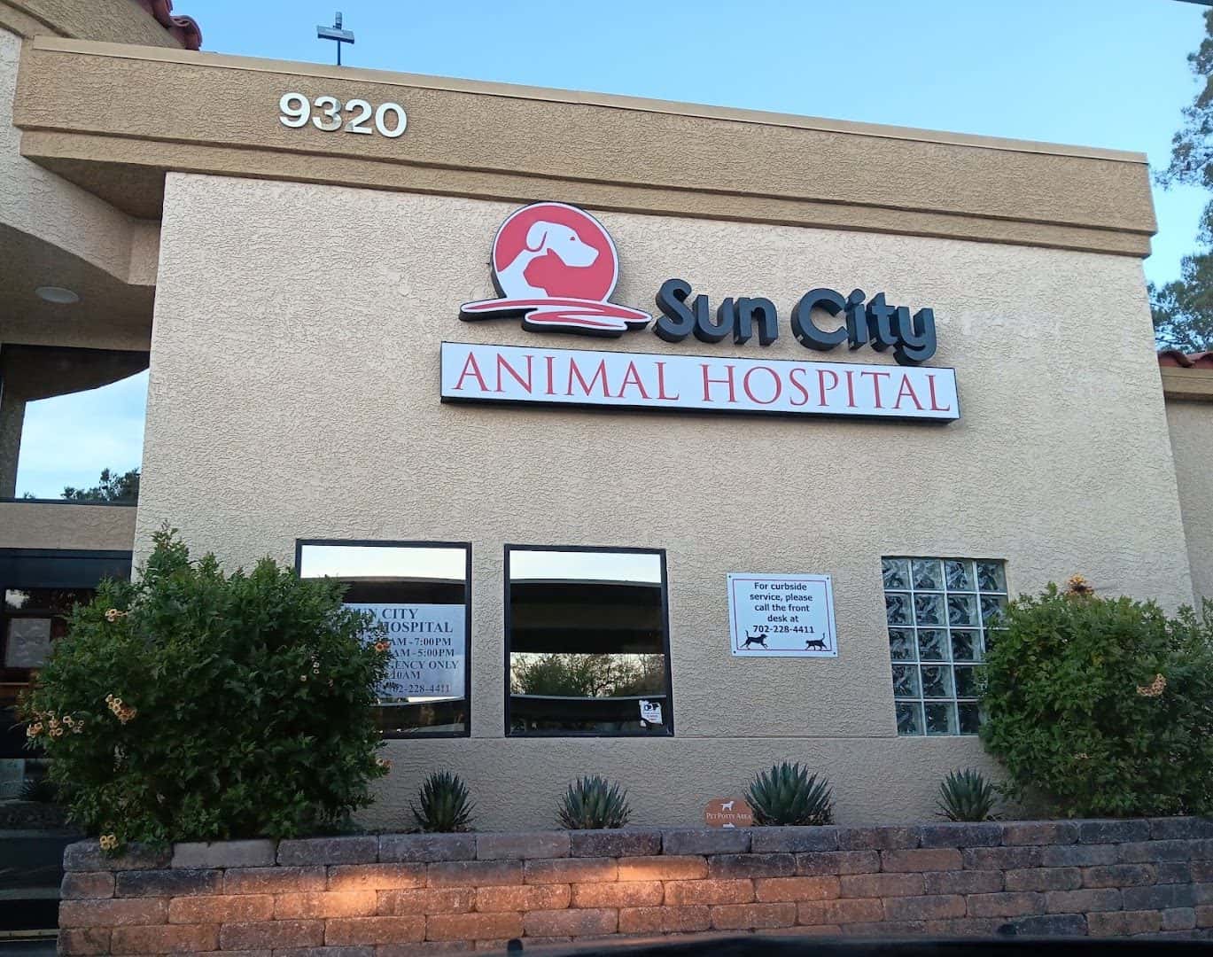 Sun City Animal Hospital — Doctors & Medical photo 3 of 5