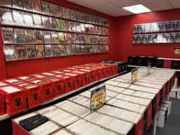 Rogue Toys/Comics