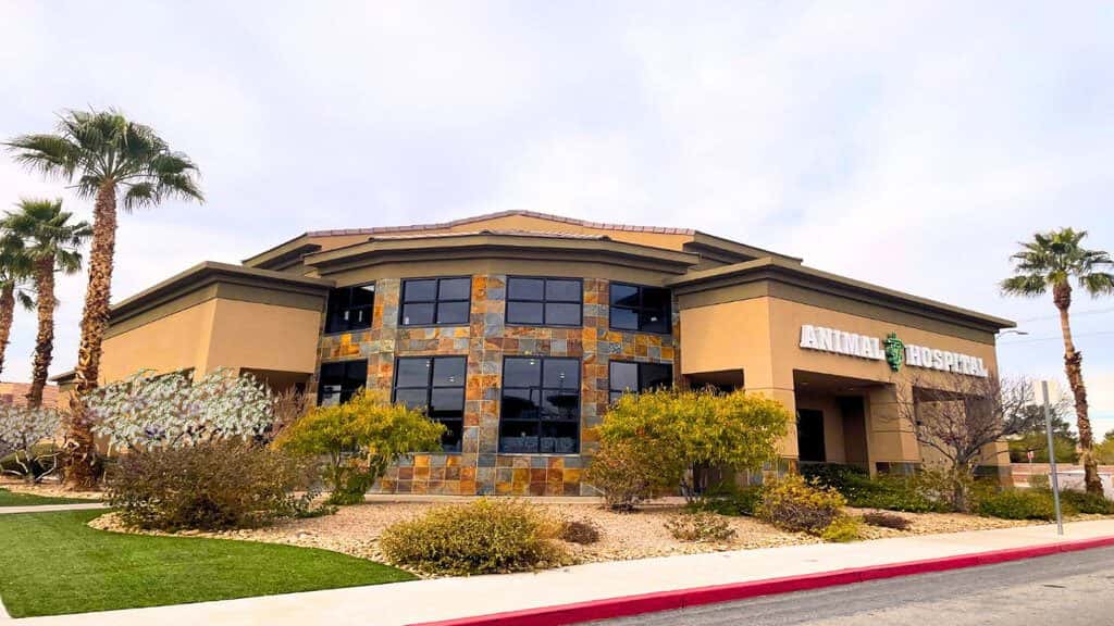 West Charleston Animal Hospital — Doctors & Medical photo 1 of 5