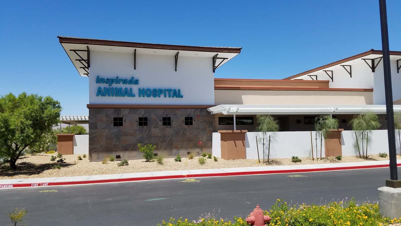 Inspirada Animal Hospital — Doctors & Medical photo 1 of 5