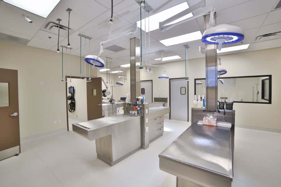 Inspirada Animal Hospital — Doctors & Medical photo 3 of 5
