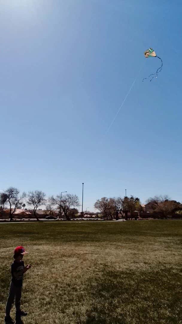 Arbors Tennis & Play Park — Family Fun & Recreation photo 2 of 5