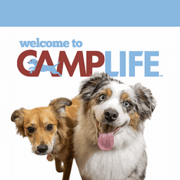 Camp Bow Wow Centennial, NV