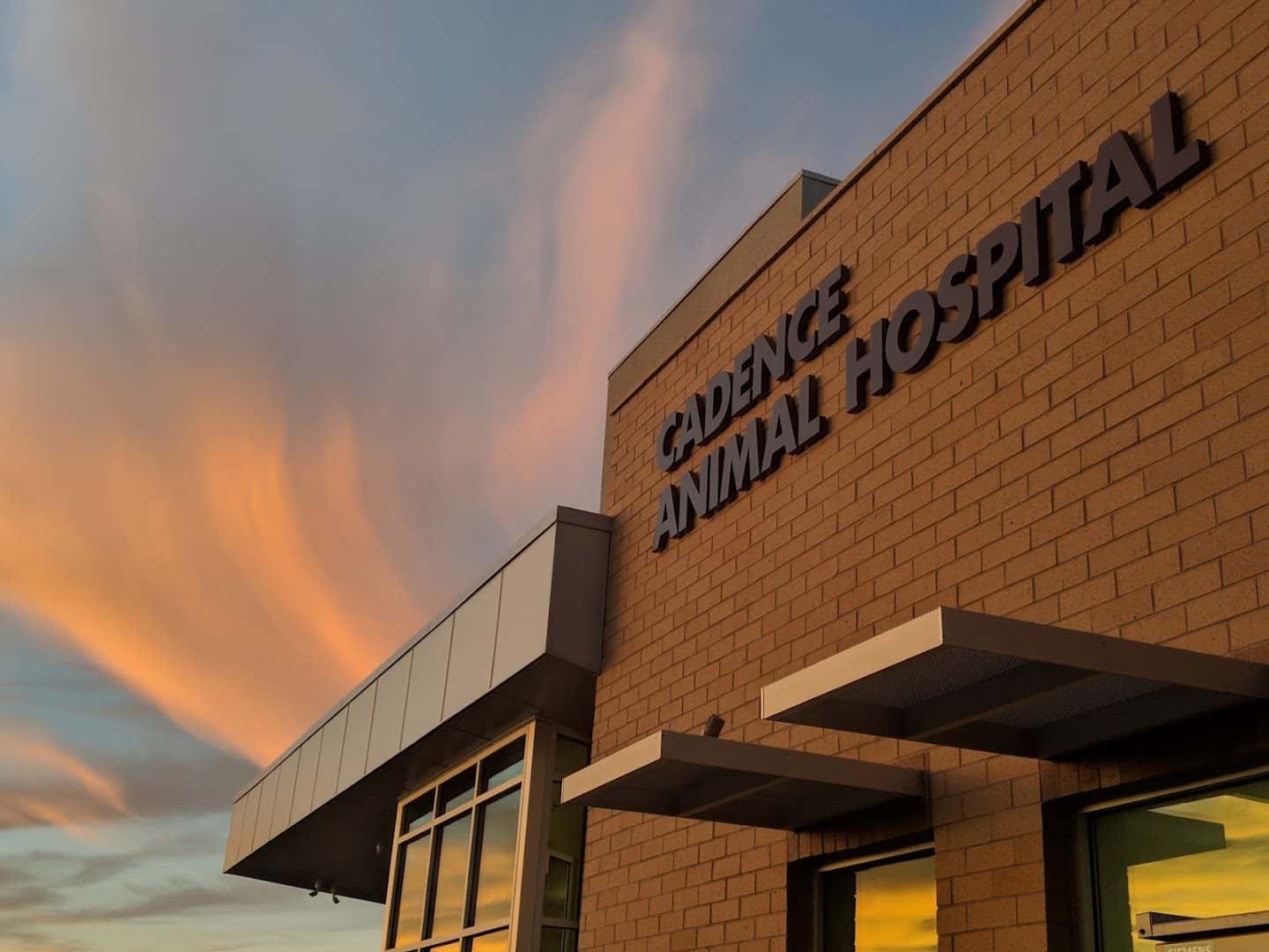 Cadence Animal Hospital — Doctors & Medical photo 1 of 5