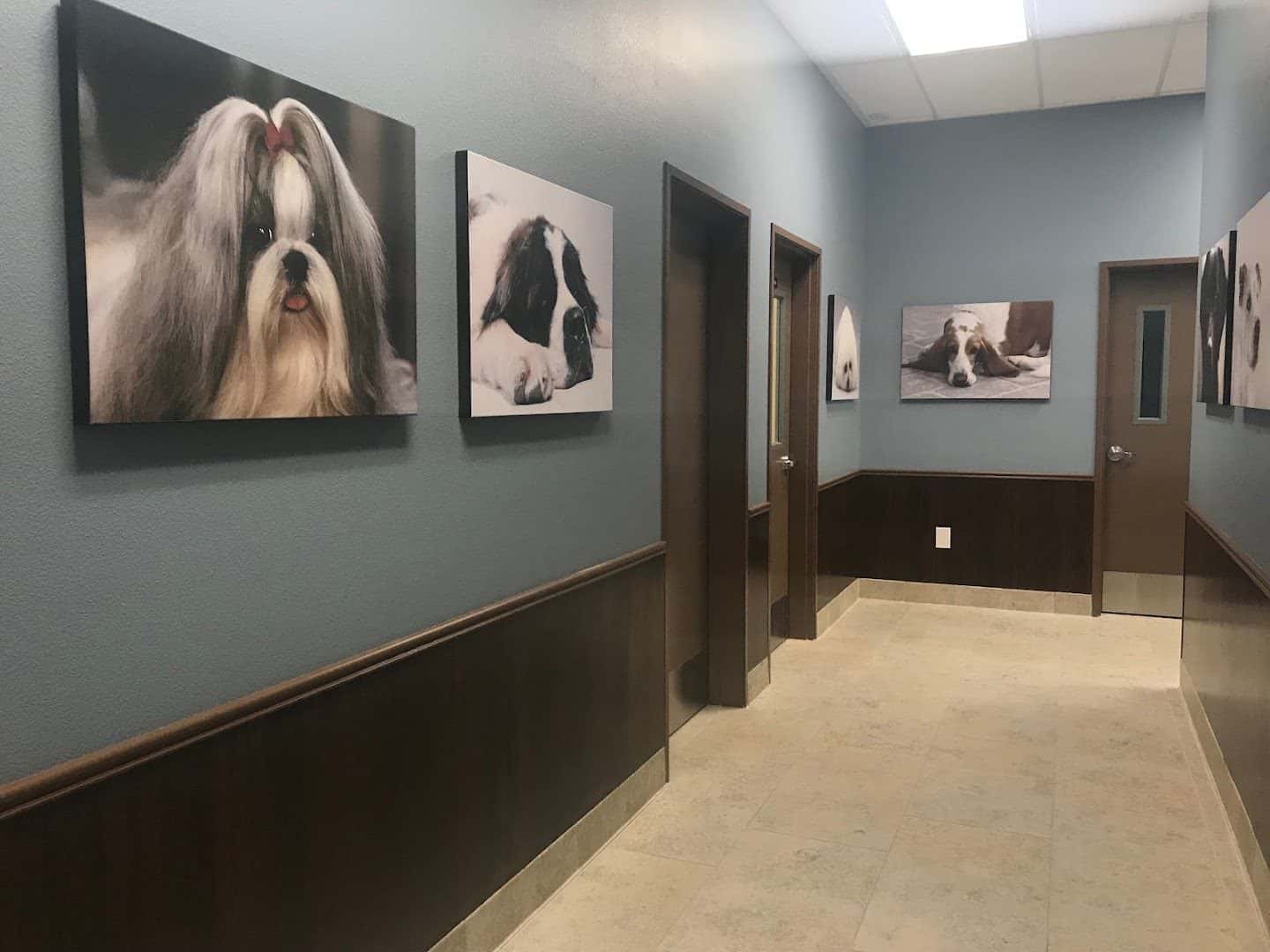 Cadence Animal Hospital — Doctors & Medical photo 2 of 5
