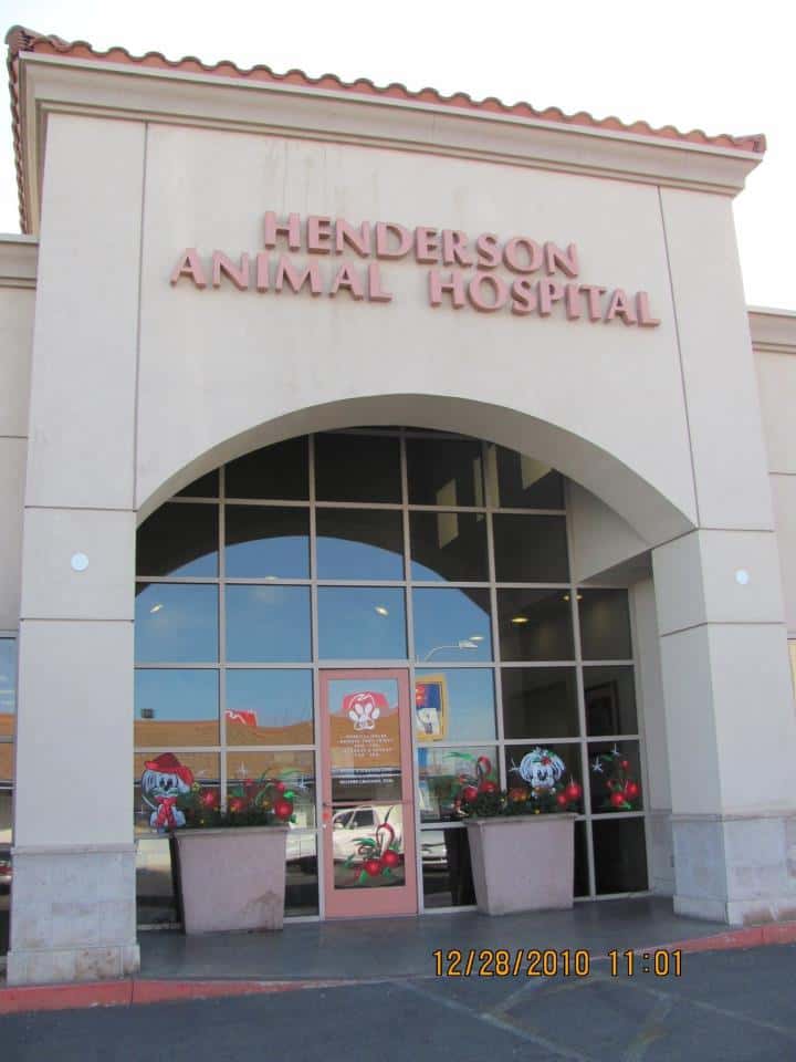 Henderson Animal Hospital — Retail & Boutiques photo 1 of 5